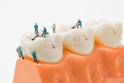 人的牙齿,干净,小的,模型,人,白色背景,假牙,变形链球菌,牙移植,牙科设备
