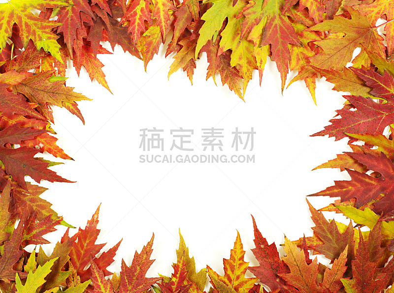 秋天,枫叶,九月,自然,黄色,红色,十月,季节,图像,叶子