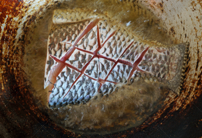 鱼类,锅,熨斗,热,清新,食品,厨房,居家装饰,精神振作,晚餐