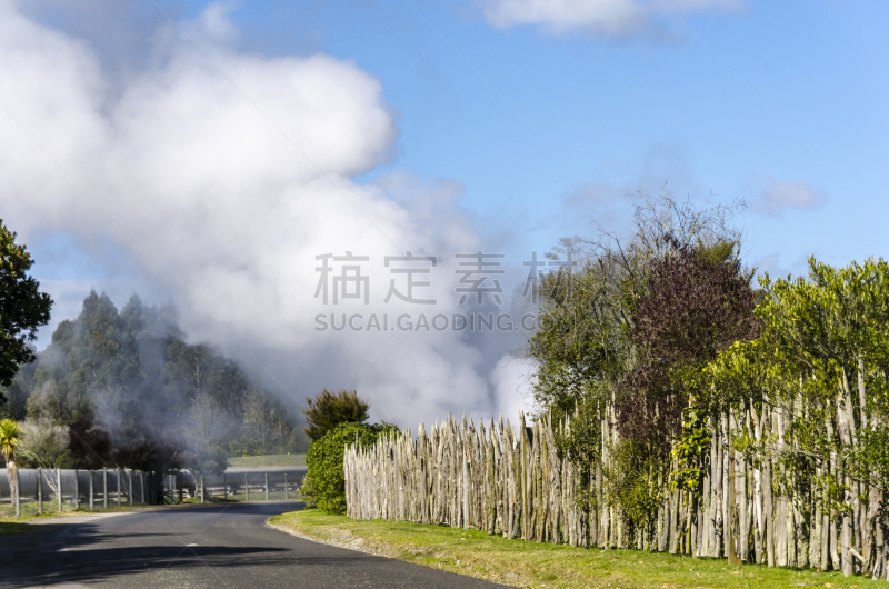 山谷,自然,wairakei,新西兰,街道,温泉,环境,林荫路,草,间歇泉