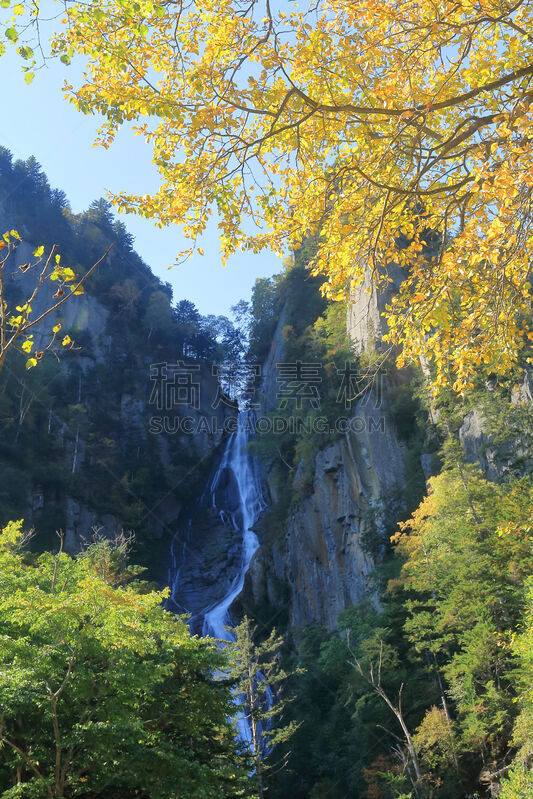 普氏野马,层云峡,大雪山国家公园,上川支厅,上川,北海道,垂直画幅,公园,秋天,瀑布