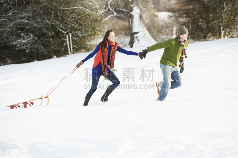 雪,动物雪车,田地,少年伴侣,寒冷,雪橇滑学,浪漫,异性恋,天气,女人