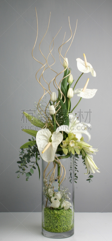花束,垂直画幅,美,白色,植物,绿色,郁金香,花瓶,全景,玻璃