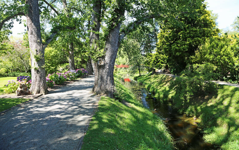 浪漫,巷,美,水平画幅,无人,夏天,户外,oamaru,植物,风景