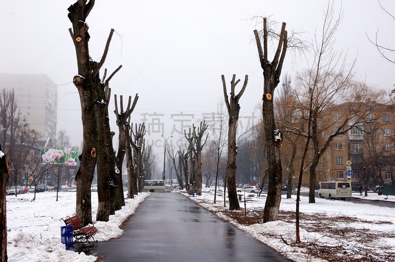 雪,派克大街,寒冷,安静,一月,环境,霜,天气,步行道路,公园