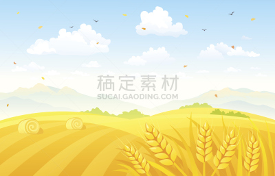 田地,秋天,背景,小麦,干草,农场,玉米,农作物,草垛,干草卷