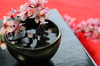 中国米酒,樱花,日本青酒,水平画幅,无人,含酒精饮料,饮料,黑色背景,春天,枝