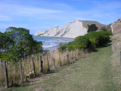 cape kidnappers gannet colony,新西兰,新西兰北岛,自然,海滩,水平画幅,无人,户外,海洋,摄影