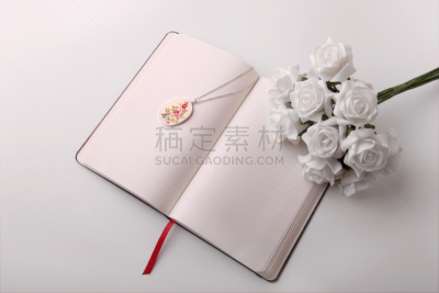 记忆,留白,水平画幅,无人,结婚登记,珠宝,仅一朵花,留言簿,开着的,人造珠宝