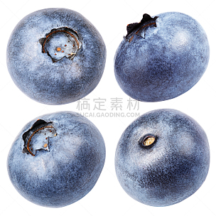 蓝莓,浆果,白色,分离着色,越橘,素食,无人,生食,组物体,特写