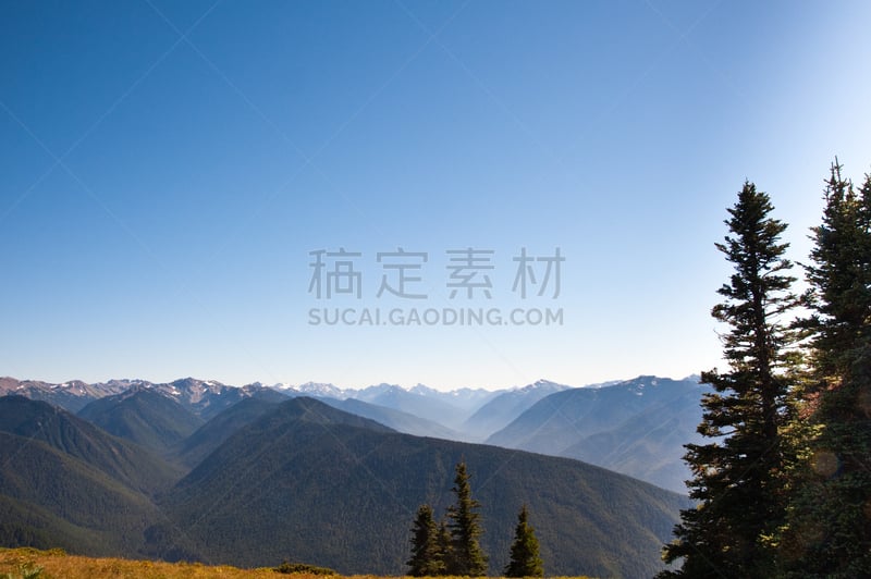 飓风山脊,奥林匹克山,自然,草地,水平画幅,地形,山,无人,户外,山脉