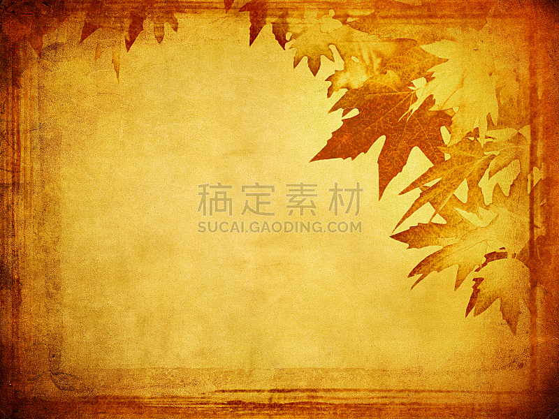秋天,叶子,背景,摇滚乐,褐色,式样,水平画幅,无人,绘画插图,抽象