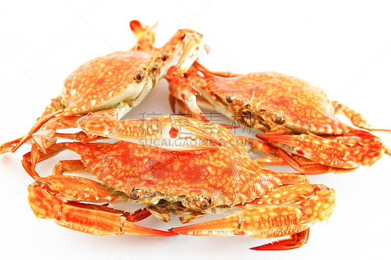 螃蟹,蓝蟹,煮食,水平画幅,白色背景,海产,背景分离,水栖哺乳动物,晚餐,蒸菜