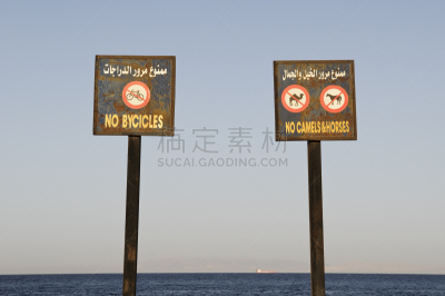 达哈巴,埃及,骑自行车,骆驼,不,马,亚喀巴湾,西奈 ,天空,水平画幅