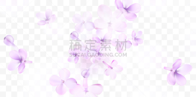 春天,背景,丁香花,薰衣草色,可爱的,玫瑰,请柬,背景分离,边框,浪漫