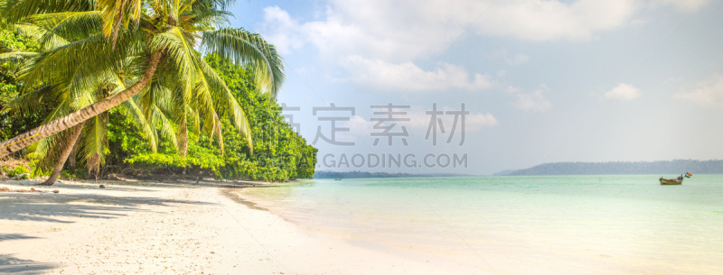 海滩,水,天空,哈弗洛克岛,水平画幅,无人,安达曼海,户外,安达曼群岛,棕榈树
