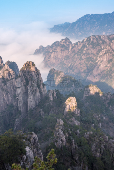 风景,海洋,雾,安徽省,黄山,中国东部,云景,云,中国,植物