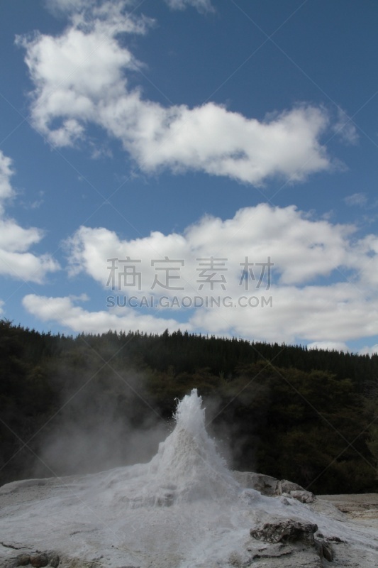 罗托鲁阿,新西兰,一只动物,部分,垂直画幅,水,lake tarawera,无人,火山地形,户外