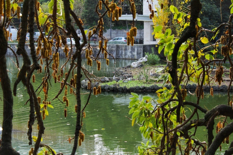 Leafy garden with lake in Lisbon