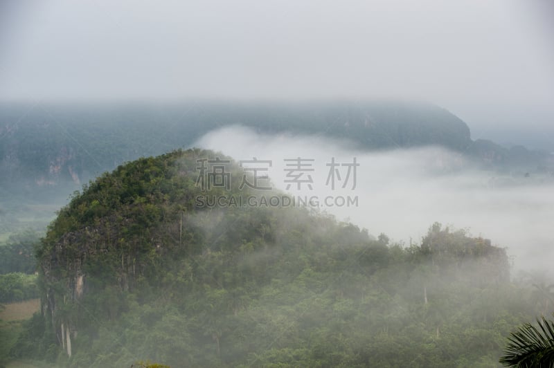 山谷沟,航拍视角,古巴,石灰岩残丘,天空,半空中,早晨,曙暮光,棕榈树,拉丁美洲