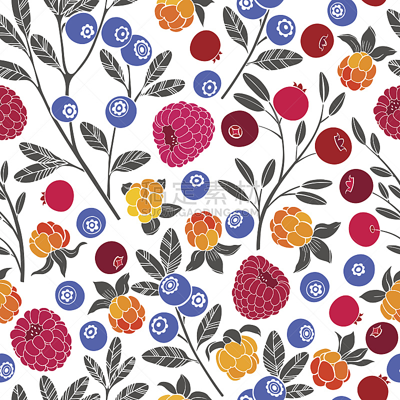 蓝莓,矢量,式样,浆果,蔓越桔,覆盆子,森林,云莓,白色背景,绘画插图