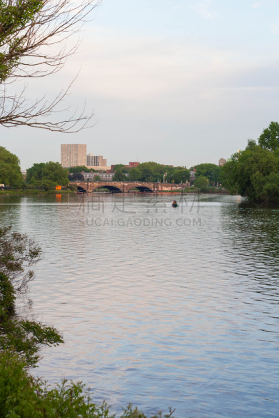 查尔斯河,剑桥,哈佛大学,麻省理工学院,常春藤盟校,垂直画幅,水,美国,地形,景观设计