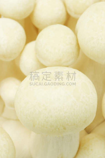 山毛榉树,食用菌,背景,姬菇,自然,垂直画幅,褐色,无人,有机食品,生食