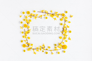 黄色,边框,白色背景,多样,雏菊,花蕾,枝,国际妇女节,花环,甘菊
