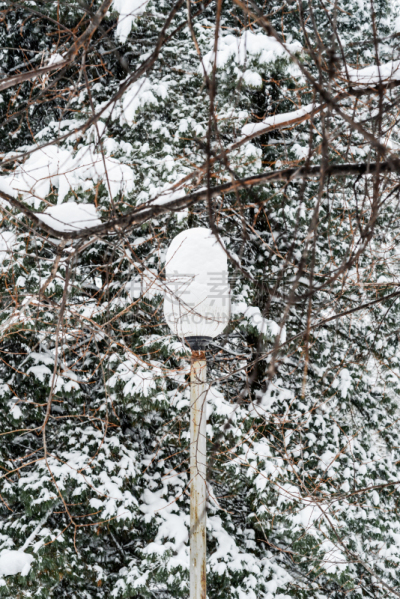 雪,冬天,路灯,俄罗斯,森林,有包装的,垂直画幅,天空,灯,白色