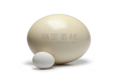 卵,鸵鸟,鸡,鸵鸟蛋,水平画幅,鸡蛋,无人,白色背景,比例,完整