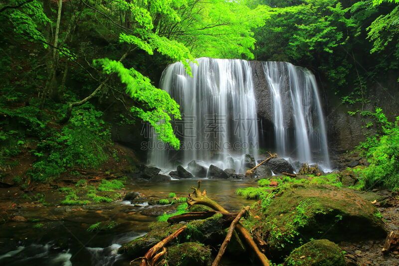 瀑布,夏天,办公用品,水,水平画幅,无人,福岛县,户外,植物,山