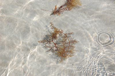 水,海洋,建筑结构,透明,自然,式样,水平画幅,沙子,塞浦路斯,无人