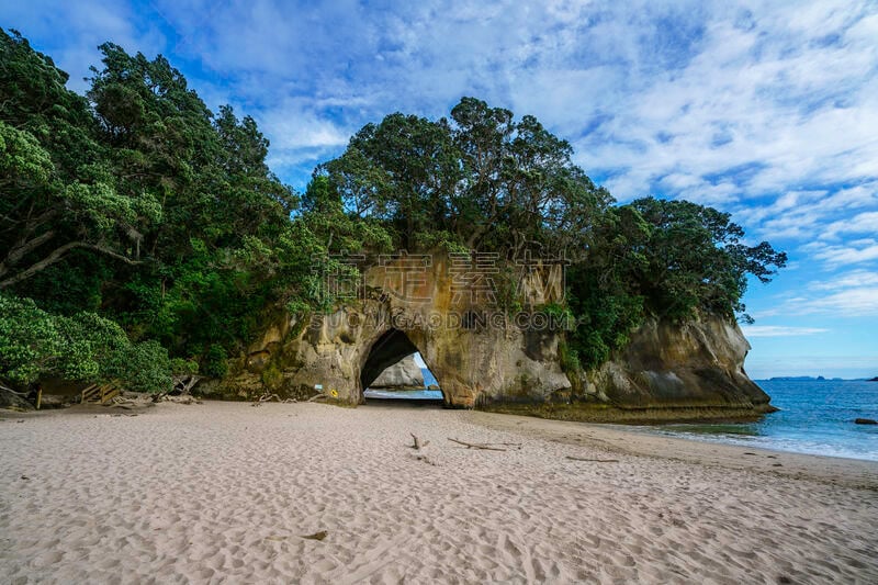 海滩,cathedral cove,科罗曼德尔半岛,新西兰,洞穴,一只动物,水,美,水平画幅,沙子