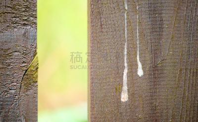 褐色,厚木板,栅栏,邻居,正面视角,艺术,水平画幅,纹理效果,绘画插图,鸟类
