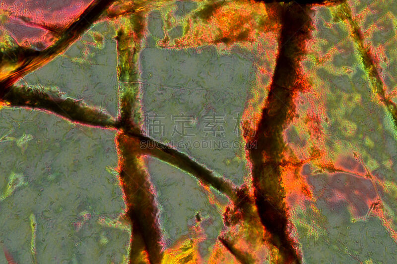 辉岩,抽象,微生物学,数字增强,偏振光,显微镜,非凡的,显微图片,图像处理,灰色