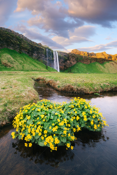 风景,seljalandsfoss waterfall,冰岛国,云,黄昏,著名景点,春天,河流,瀑布,岩石