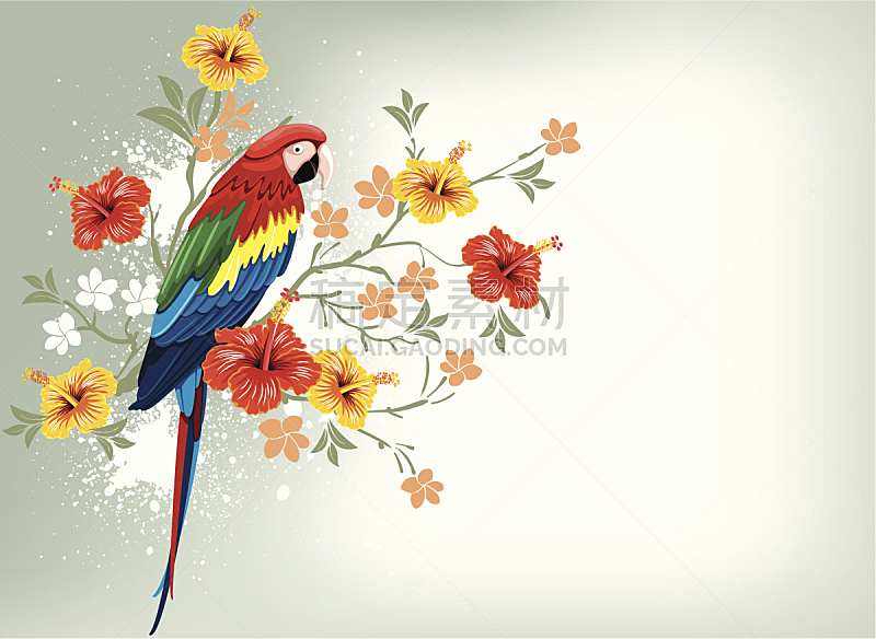 鹦鹉,热带的花,美术工艺,热带气候,古典式,动物,鸟类,色彩饱和,金刚鹦鹉,尾巴