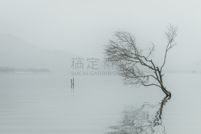 安静,新生活,抽象,水,湖,概念,地形,黎明,秋天,冬天