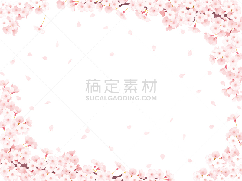 樱桃树,边框,樱之花,亚洲樱桃树,花瓣占卜,樱花节,花见节,桃色,樱花,女儿节
