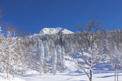山,新旭町,雪,旭川,旅行者,戏剧性的景观,白色,高处,彩色图片,冬天