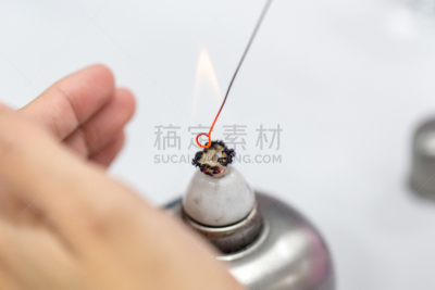 微生物学,实验室,肮脏的,技能,生物科技,水平画幅,科学实验,科学,生物学,工具台
