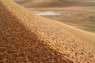 沙丘,great western erg,northern sahara,巴巴里人,西撒哈拉沙漠,阿尔及利亚,选择对焦,褐色,水平画幅,沙子