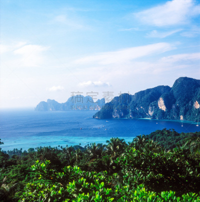 皮皮群岛,皮皮岛,甲米省,垂直画幅,绿色,无人,户外,棕榈树,泰国,岛