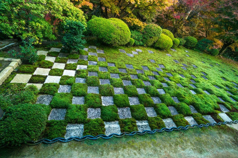 东福寺,京都府,窗户,美,水平画幅,秋天,仅日本人,传统,日本