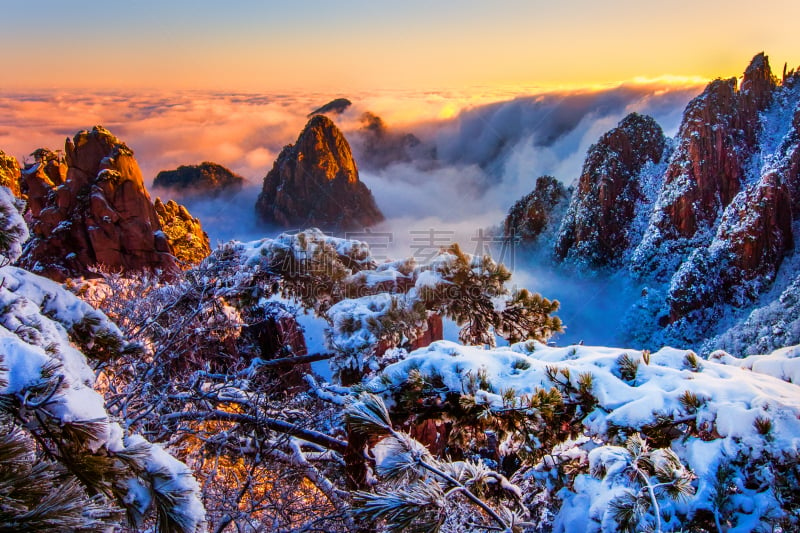 黄山,华山,自然,黄色,风景,冬天,图像,雪,公园,无人