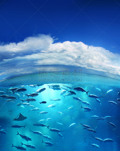 大西洋,加勒比海,垂直画幅,水,天空,云,沙子,无人,夏天,户外