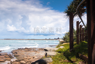 朱鹭,海洋,卡伦德拉,昆士兰州,水,天空,旅游目的地,水平画幅,岩石,无人
