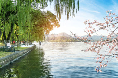 地形,建筑,杭州,西湖,自然美,户外,春天,铺路石,远古的,传统