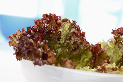 lollo rosso,沙拉,碗,水平画幅,素食,膳食,莴苣,配菜,2015年,叶子