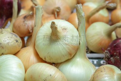大量物体,公亩,桌子,洋葱,组a,匹诺曹,咖啡生豆,水平画幅,食草动物,女子乒乓球